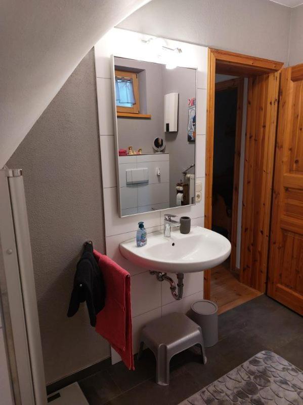 Kuckucksnest - Ferienwohnung Welschneudorf Esterno foto